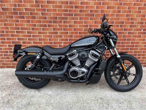 2022 Harley-Davidson RH975 NIGHTSTER