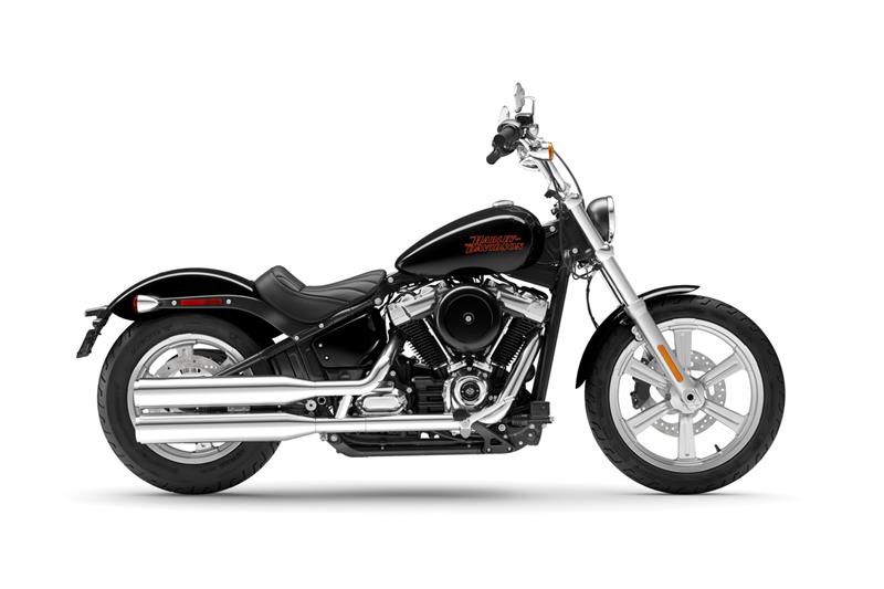MY23 Softail® Standard