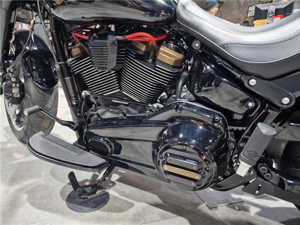 2020 Harley-Davidson Fat Boy 30th Anniversary 117