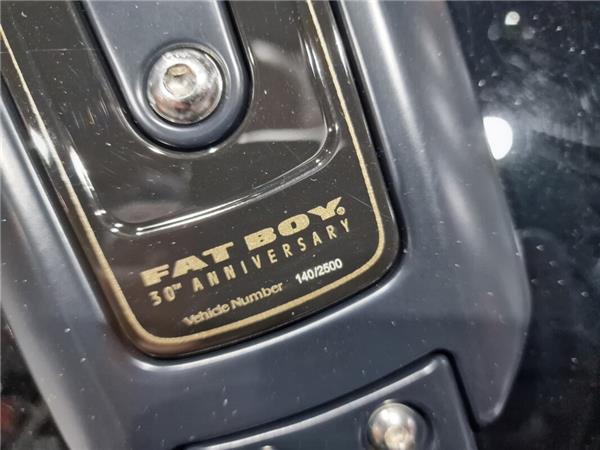 2020 Harley-Davidson Fat Boy 30th Anniversary 117