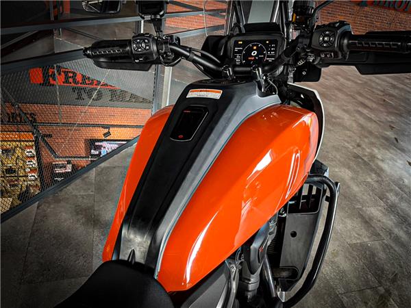 HARLEY-DAVIDSON PAN AMERICA | 2021