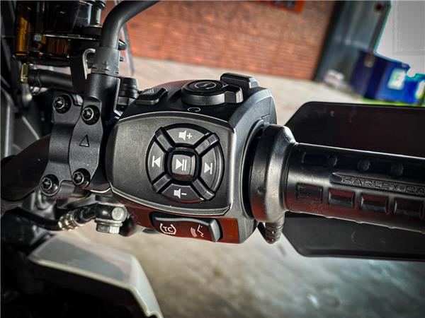 HARLEY-DAVIDSON PAN AMERICA | 2021