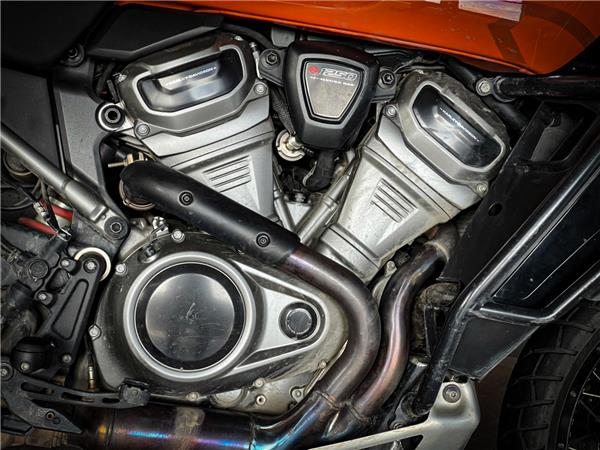 HARLEY-DAVIDSON PAN AMERICA | 2021