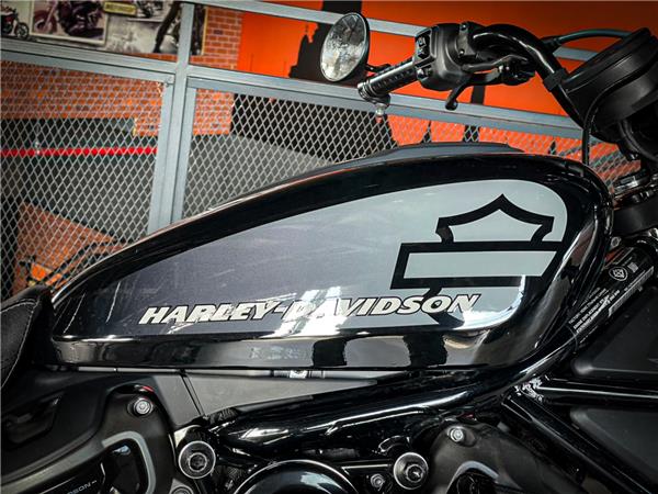 HARLEY-DAVIDSON NIGHTSTER | 2020