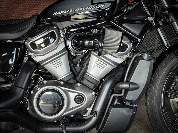 HARLEY-DAVIDSON NIGHTSTER | 2020