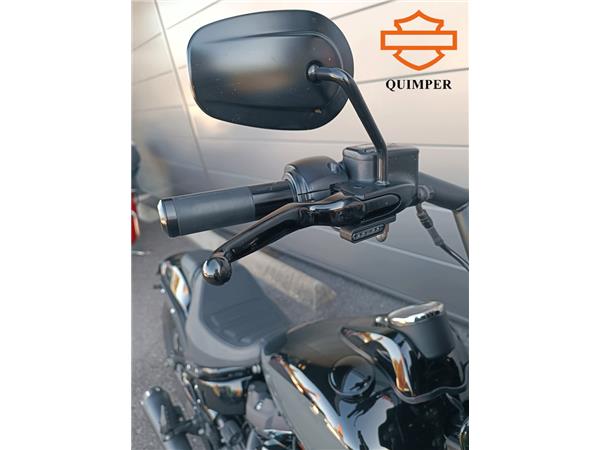 2022 HARLEY-DAVIDSON FAT BOB