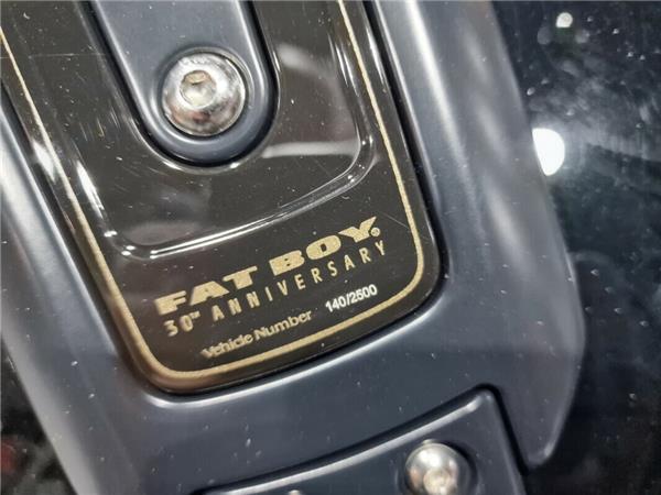 2020 Harley-Davidson Flfbs Anv / 115th Anniversary Fat Boy 114