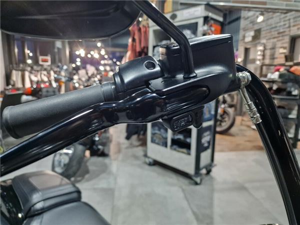 2020 Harley-Davidson Flfbs Anv / 115th Anniversary Fat Boy 114