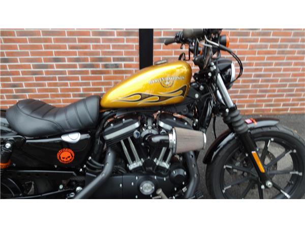 SPORTSTER IRON 883 N 