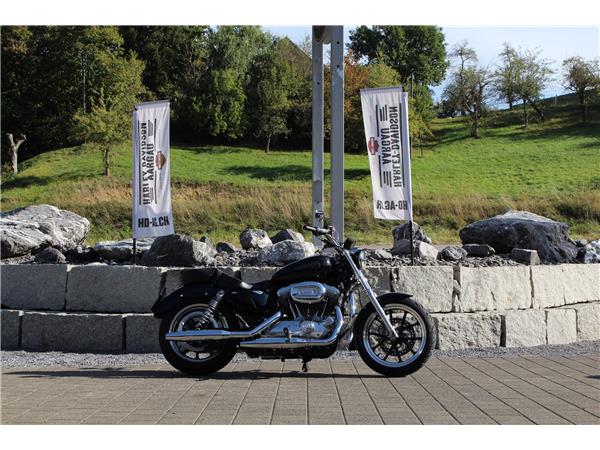 2019 HARLEY-DAVIDSON Sportster XL 883 L Sportster Super Low ABS