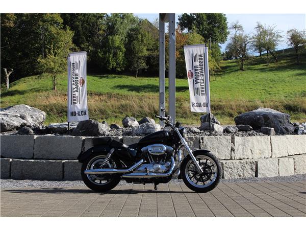 2019 HARLEY-DAVIDSON Sportster XL 883 L Sportster Super Low ABS