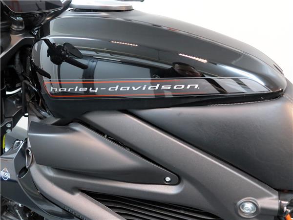 2021 harley-davidson Live Wire