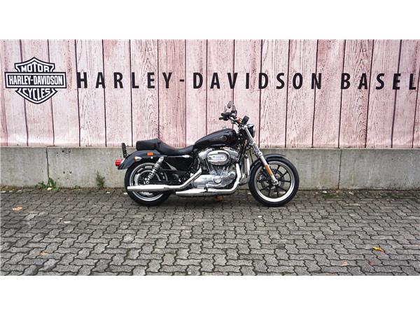 2019 HARLEY-DAVIDSON Sportster XL 883 L Sportster Super Low ABS