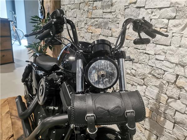 2015 HARLEY-DAVIDSON Sportster XL 1200 X Forty Eight ABS