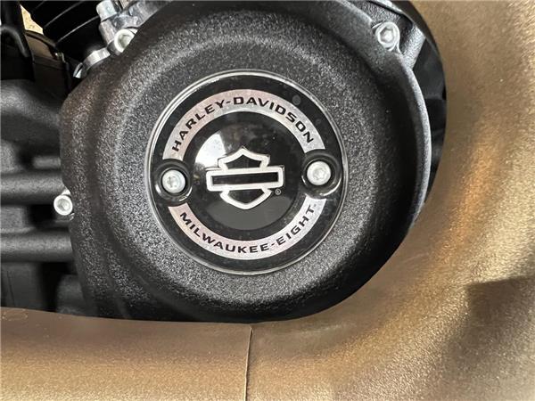2023 Harley-Davidson Softail
