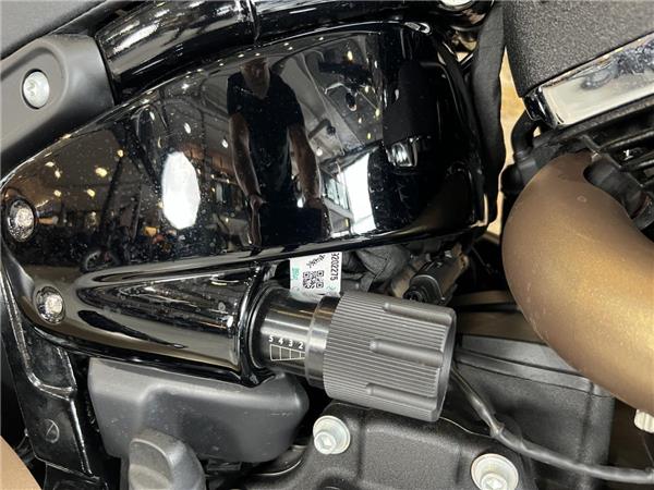 2023 Harley-Davidson Softail