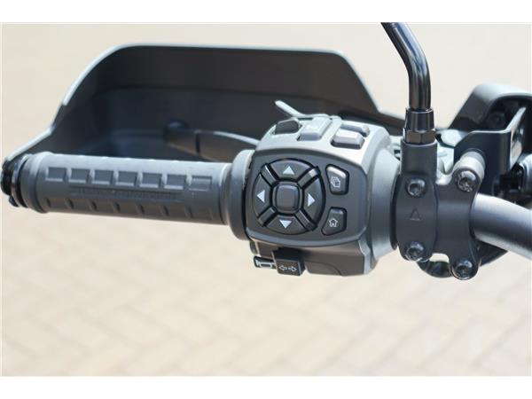 2022 HARLEY-DAVIDSON ADVENTURE TOURING RA1250S PAN AMERICA 1250 SPECIAL