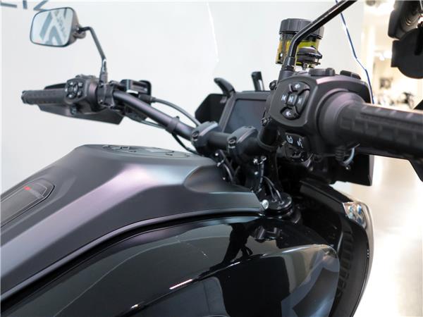 2023 HARLEY-DAVIDSON PAN AMERICA RA Pan America 1250 Special