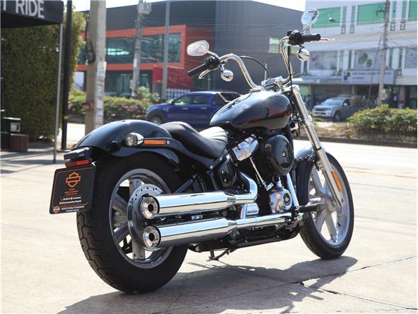 2023 Softail Standard