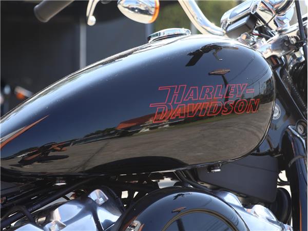 2023 Softail Standard