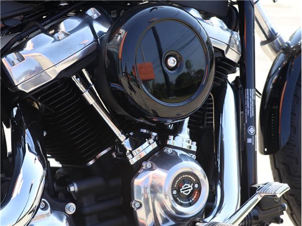 2023 Softail Standard