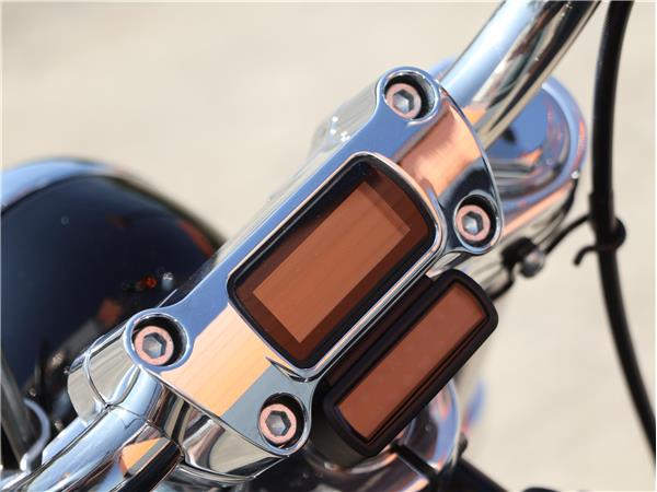 2023 Softail Standard