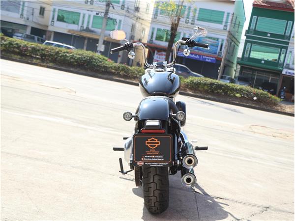 2023 Softail Standard