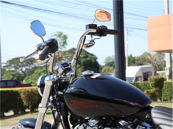2023 Softail Standard