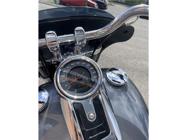 Softail Sport Glide Jekill 