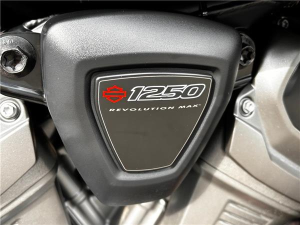 2021 HARLEY-DAVIDSON ADVENTURE TOURING RA1250S PAN AMERICA 1250 SPECIAL