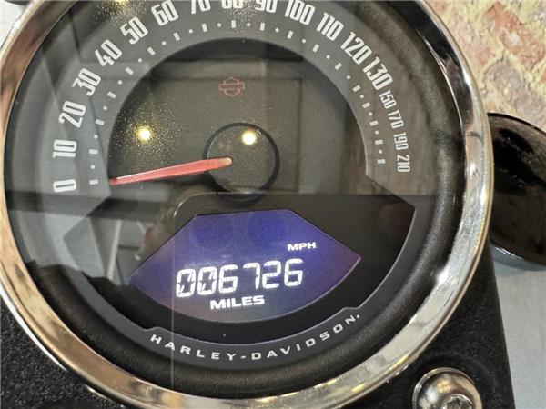 2020 Harley-Davidson Softail