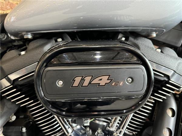 2020 Harley-Davidson Softail
