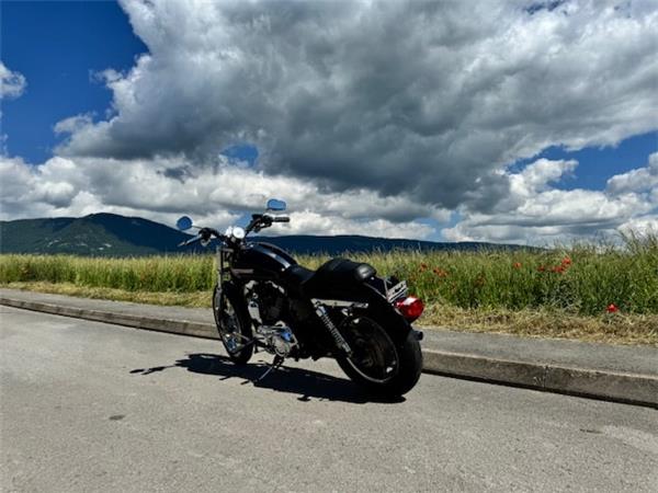 2010 HARLEY-DAVIDSON Sportster XL 1200 C Sportster Custom Injection