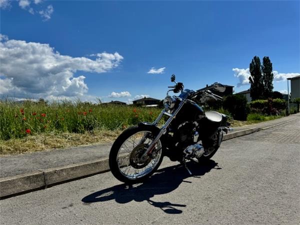 2010 HARLEY-DAVIDSON Sportster XL 1200 C Sportster Custom Injection