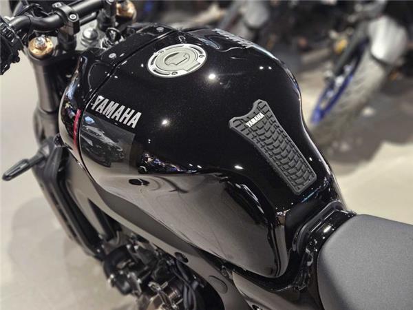 2023 Yamaha XSR 900 (MTM890) Black