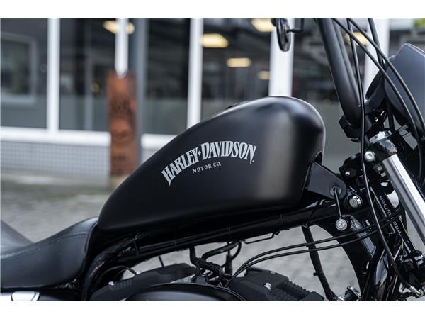 Harley-Davidson Kiel XL883N IRON SPORTSTER - APE-Lenker