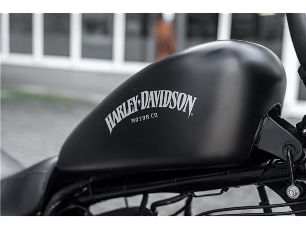 Harley-Davidson Kiel XL883N IRON SPORTSTER - APE-Lenker