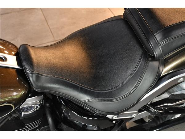 2019 HARLEY-DAVIDSON SOFTAIL FLFBS FAT BOY 114
