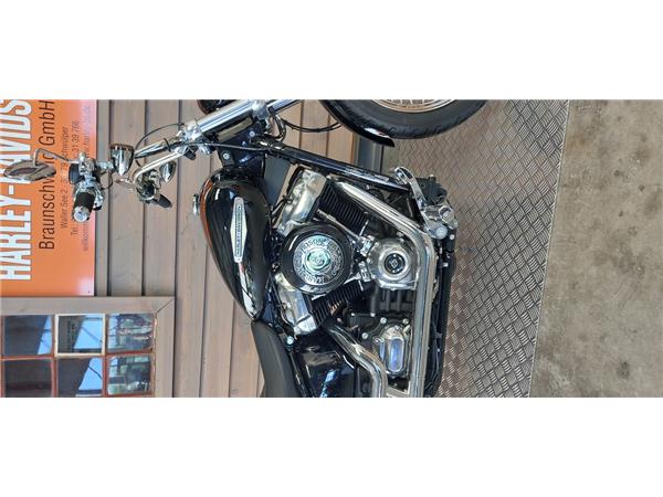 FXST SOFTAIL STANDARD 