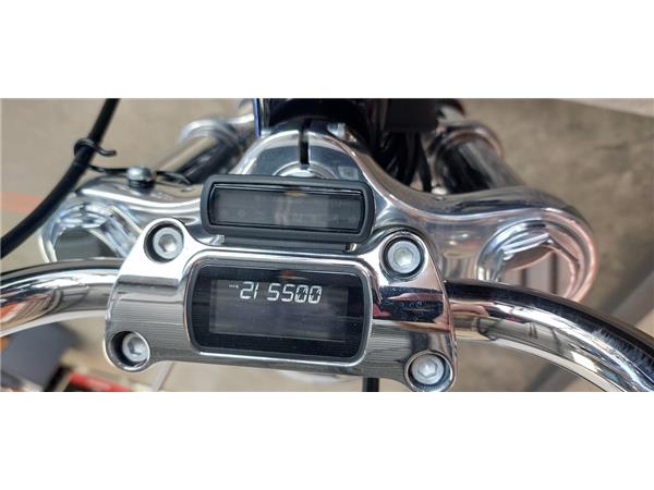 FXST SOFTAIL STANDARD 