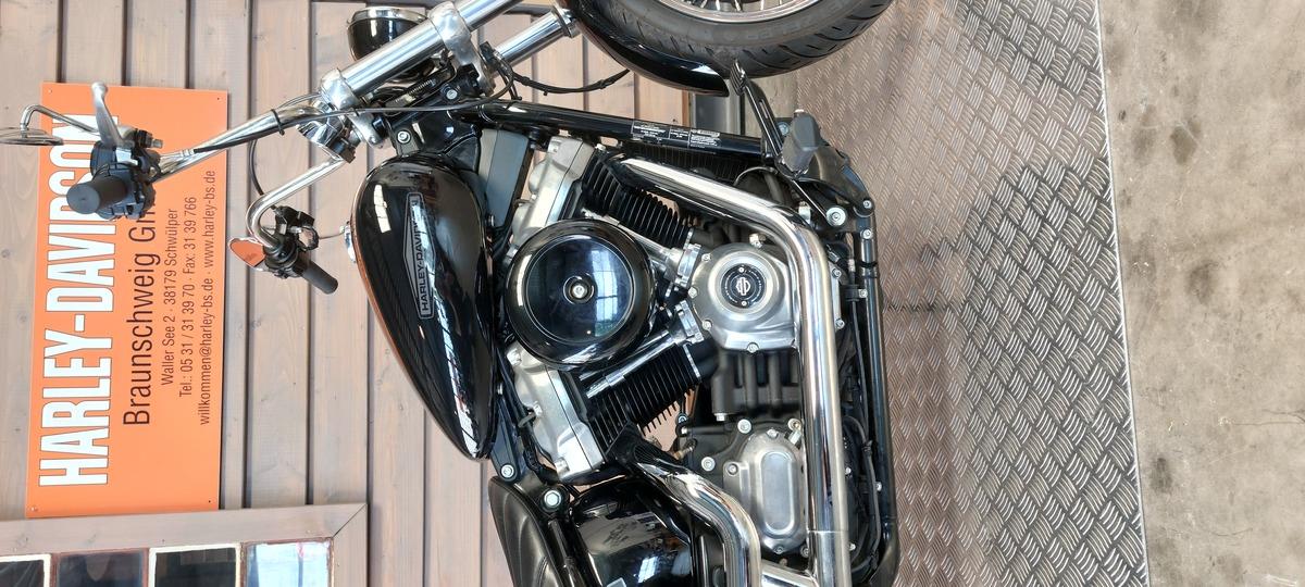 FXST SOFTAIL STANDARD 