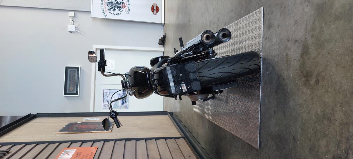 FXST SOFTAIL STANDARD 