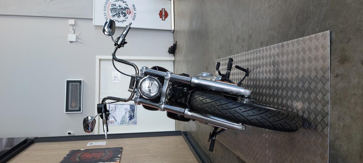FXST SOFTAIL STANDARD 