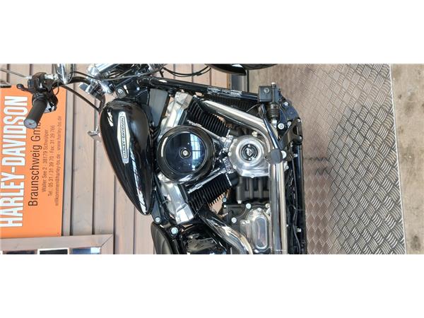 FXST SOFTAIL STANDARD 