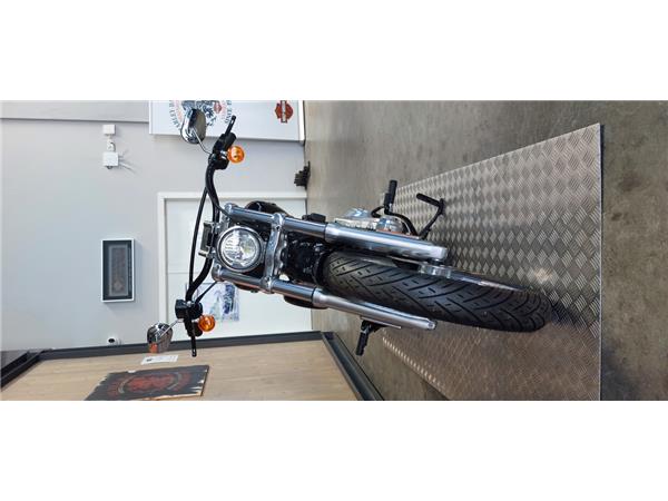 FXST SOFTAIL STANDARD 