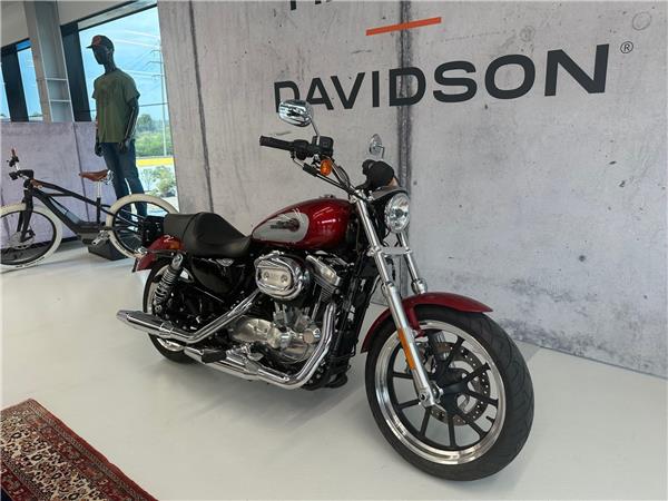 2019 HARLEY-DAVIDSON Sportster XL 883 L Sportster Super Low