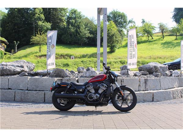 2024 HARLEY-DAVIDSON Sportster RH 975 Nightster