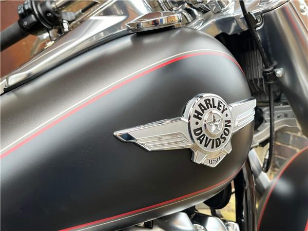 2019 Harley-Davidson Softail