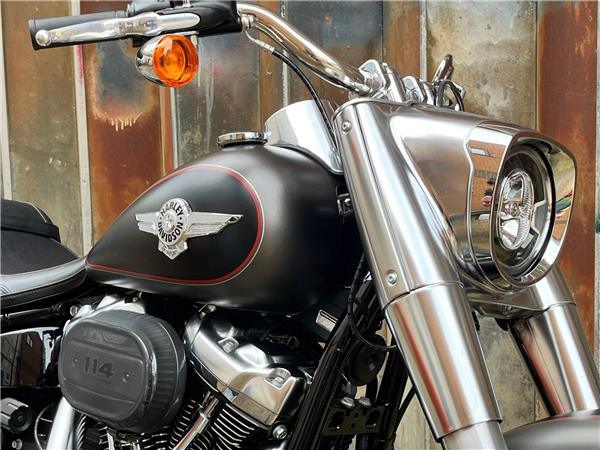 2019 Harley-Davidson Softail