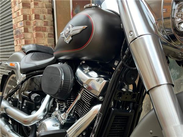 2019 Harley-Davidson Softail